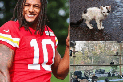 Kansas City Chiefs running back Isiah Pacheco has caught attention far beyond the gridiron with the launch of “Forever Paws Home,”a $5 million sanctuary for stray cats in Missouri.