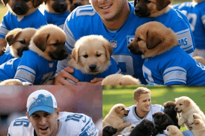 BREAKING: Jared Goff announces he will invest $15 million to build a “paradise” dedicated to rescuing stray dogs, promising love and homes to thousands of abandoned puppies…