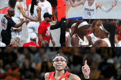 Allisha Gray TEMPER TANTRUM EXPOSED Yet PROMPTS News Outlet TO TAKE AIM AT INDIANA FEVER CULTURE