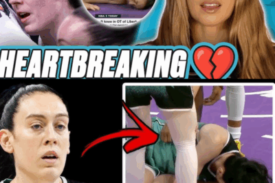 Chaos in the WNBA Playoffs: Controversial Refs, Stewart’s Injury, and Fever on the Brink
