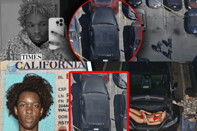 FBI FINALLY Reveals: D4vd’s Driver’s License FOUND in Tesla — Directly Linked to Shocking Murder Case!