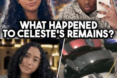 Hollywood Hills Horror: Disturbing Evidence From Celeste’s Remains and Tesla Car Data
