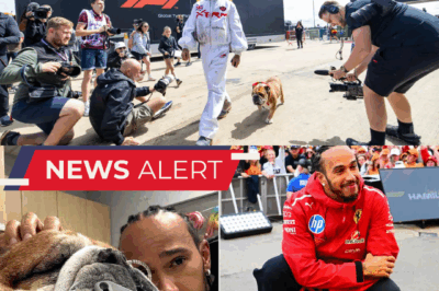 Lewis Hamilton’s Heartbreak: When Roscoe Might Not Wake Up