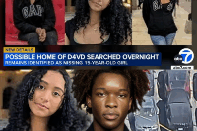 The D4vd Case: Guilty or Being Framed?