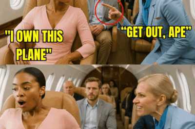 Flight Attendant’s Shocking Mistake: Slapping the Black Woman CEO Who Secretly Owns the Jet