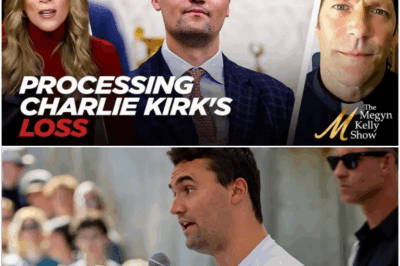 Processing the Loss of Charlie Kirk: Father Mike Schmitz on Anger, Faith, and the Human Response to Evil
