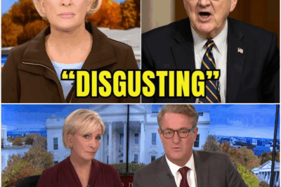 John Kennedy HUMILIATES ‘Morning Joe’—Exposes Media Lies, Crushes Anti-ICE Hysteria on Live TV