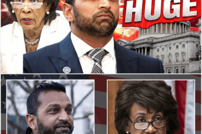 Maxine Waters Humiliated, Exposed, and Destroyed: How One Hearing Turned the Queen of Corruption Into America’s Biggest Disgrace