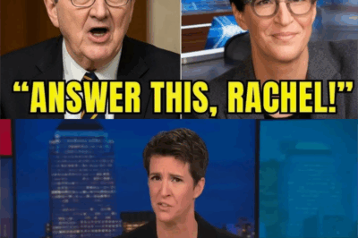 “Rachel Maddow HUMILIATED: Senator Kennedy’s Southern Sass Dismantles MSNBC Diva, Leaving Her Legal Credibility in Ruins”