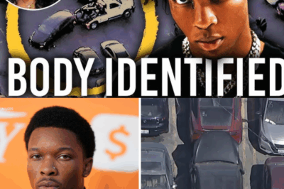 From Missing Teen to Tesla Tragedy | The D4vd Investigation