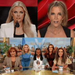ABC Shocks the World: The View Canceled, Erika Kirk and Megyn Kelly
