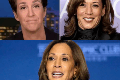 MSNBC Host’s Reaction as Kamala Harris Faces Epic Drunk Meltdown!