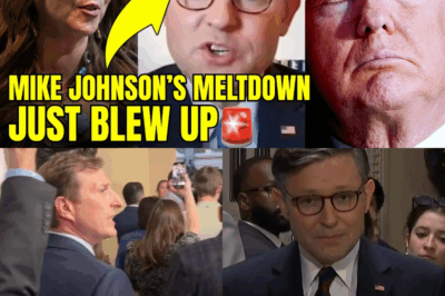 WATCH: Mike Johnson Just YELLED At Top Democrat, INSTANTLY BACKFIRES🚨