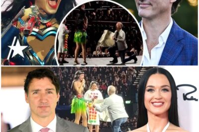 Katy Perry Sparks Justin Trudeau Romance Rumors After Turning Down Onstage Proposal