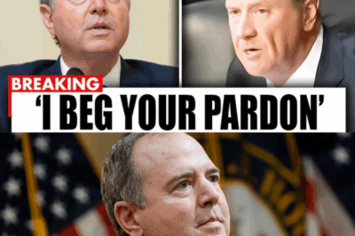 Adam Schiff Faces Heated Exchange in Contentious Congressional Hearing