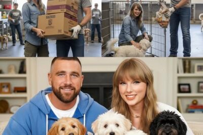 Travis Kelce and Taylor Swift Save Local Animal Shelter With 200 Pounds of Supplies and a Generous Donation