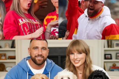 Taylor Swift and Travis Kelce Rescue Failing Animal Shelter—But a Cryptic Message Sparks Curiosity