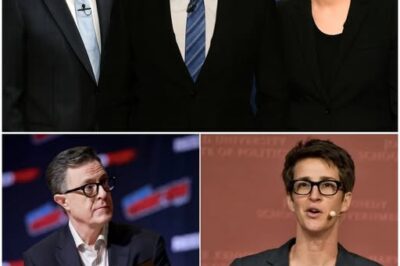 Maddow, Colbert, and Kimmel Break Away to Launch Independent Newsroom, Sending Shockwaves Through Major Networks