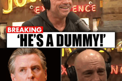 Joe Rogan Roasts California: Gavin Newsom, Wildfires, and the Comedy of Crisis