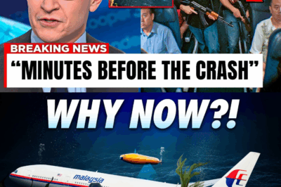 New Footage Inside The Malaysian Flight 370 Before The Crash Changes Everything