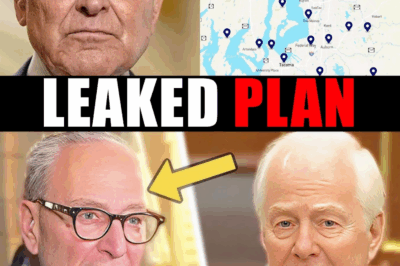 Chuck Schumer’s “shutdown plan” JUST LEAKED, Holy crap…………
