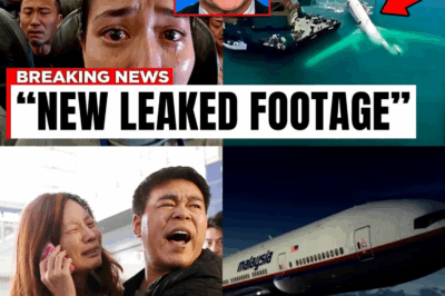 New Video From A Passenger Of Malaysian Flight 370 Before The Crash Changes Everything