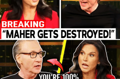 Tulsi Gabbard DESTROYS Bill Maher in Explosive Live TV Clash!
