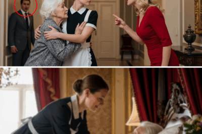 The Light That Matters