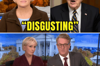 Senator Kennedy’s Morning Joe Masterclass: Facts, Empathy, and the Real Story of ICE Enforcement