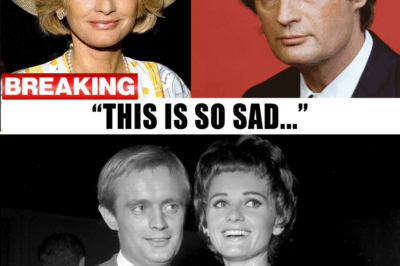Jill Ireland Shares the Painful Truth About Her Divorce from David McCallum