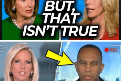 Democrat Loses Her Cool as CNN Host Calmly Busts Shutdown Spin
