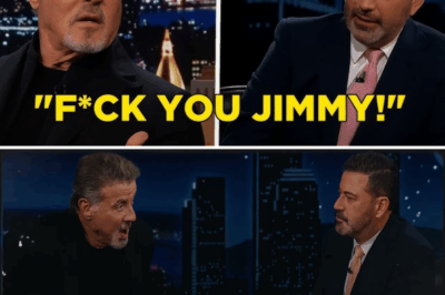 Sylvester Stallone Walks Out: The Late Night Interview That Became a Battle for Respect
