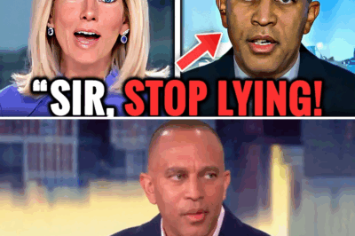 Fox News Host LEAVES Hakeem Jeffries SPEECHLESS After Brutal FACT-Check LIVE On Air