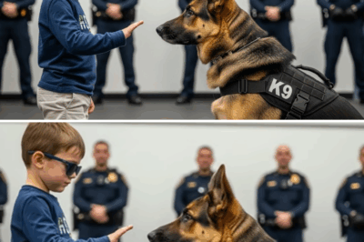 K9 Dog Was Deemed Uncontrollable — Until a Blind Boy Whispered a Word