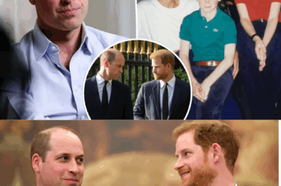 Prince William Opens Up About Prince Harry, the Future of the Monarchy, and the Possibility of Reconciliation