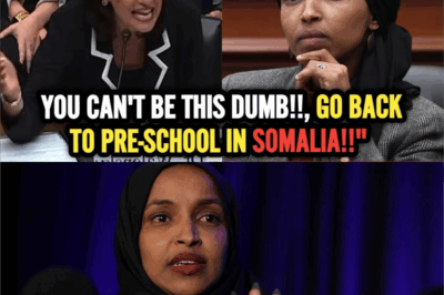 Congress Erupts: Businesswoman Delivers Brutal Reality Check to Ilhan Omar on Private Sector Pay