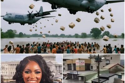Shocking Aid Mission: Democratic Party’s Private Plane Delivers $10 Million and 5 Tons of Food to Hurricane-Ravaged Jamaica
