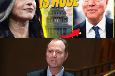 Tulsi Gabbard Shatters Washington: How the New DNI Declassified the Evidence That Ended Adam Schiff’s Career