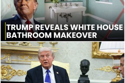 Trump Renovates White House Bathroom as Courts Rule Against Him on SNAP Funding: A Closer Look