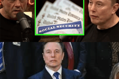 Inside the Fraud Machine: Elon Musk, Joe Rogan, and the Case for a New American Reckoning