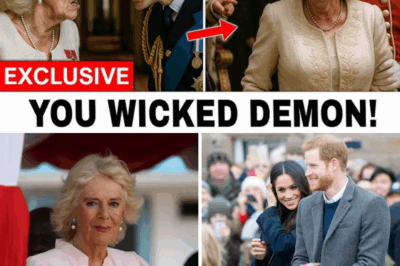 Shock in the Palace: King Charles Strips Camilla of Her Queen Title After Betraying Prince William!