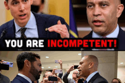 Senator Hawley Erupts on Live TV—Blames Hakeem Jeffries for Prolonging Painful Shutdown!