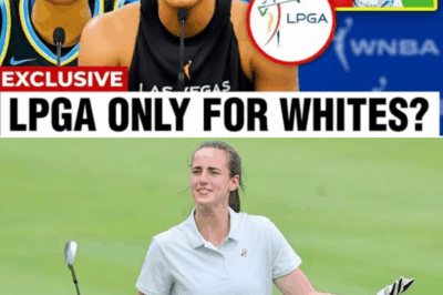 Caitlin Clark Agrees to Dave Portnoy’s $10 Million Challenge for Special Sports Event