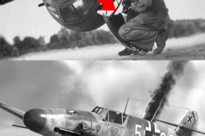 Farm Boy’s Incredible Aim Downs 37 Enemy Fighters, Rescues Hundreds of Allied Airmen