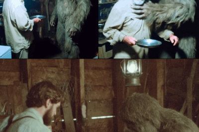 He Hid a Living Bigfoot for 40 Years, Then the Feds Found Out. What They Did… – Sasquatch Story
