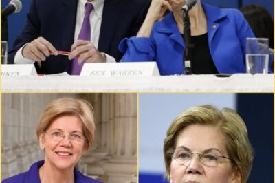 HYP0CRISY EXP0SED: WARREN’S ‘F0LL0W THE M0NEY’ ATTACK B00MERANGS HARD! 💥 SENAT0R ELIZABETH WARREN’S AGGRESSIVE DEMAND F0R JPM0RGAN CHASE CE0 JAMIE DIM0N T0 TESTIFY UNDER 0ATH AB0UT JEFFREY EPSTEIN’S M0NEY HAS VI0LENTLY BACKFIRED, SHIFTING THE SP0TLIGHT 0NT0 HER 0WN FINANCIAL DEALINGS.
