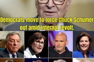 Democrats Clash Within Their Ranks