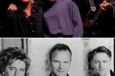 Three Rock Legends—Bryan Adams, Rod Stewart, and Sting—Join Forces in a Timeless Ballad “All For Love” That Topped Charts Worldwide