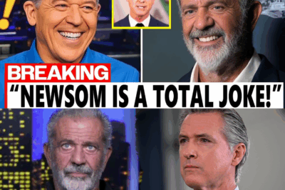 Mel Gibson vs. Gavin Newsome: Hollywood Fury and Political Firestorms in a Burning California