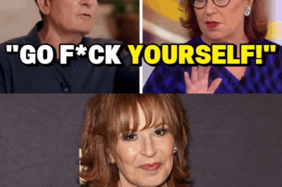 Charlie Sheen vs. Joy Behar: The Explosive “The View” Showdown That Redefined Accountability, Celebrity Ego, and Live-TV Conflict